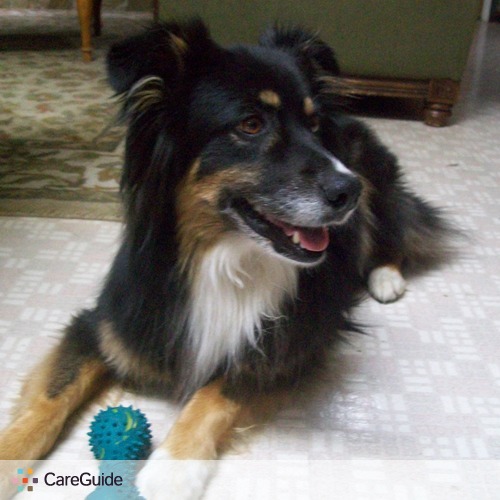 Pet Care Provider Jessica Byerley's Profile Picture