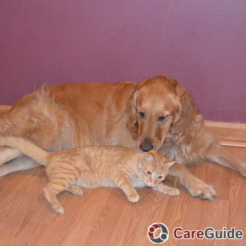 Pet Care Provider Nola Friedman's Profile Picture