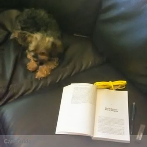 Pet Care Provider Hermes Nettel's Profile Picture