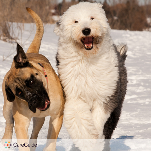 Pet Care Provider Rylynn Hustad's Profile Picture