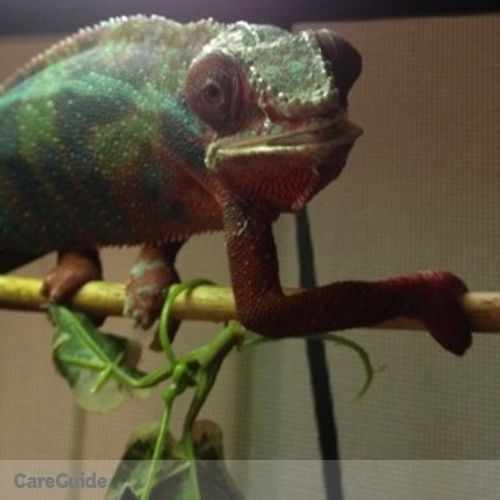 Pet Care Provider Tyler H's Profile Picture