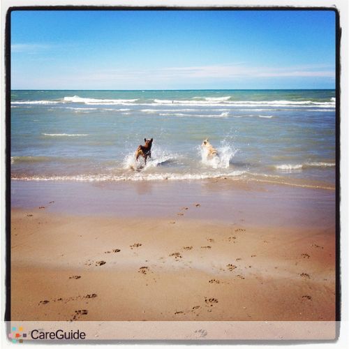 Pet Care Provider Claire & Lauren's Profile Picture