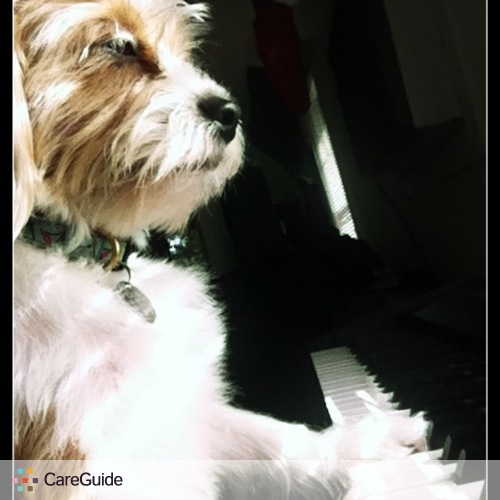 Pet Care Provider Jared Henry's Profile Picture
