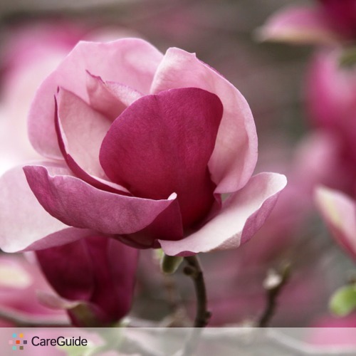 House Sitter Provider Magnolia Flower's Profile Picture