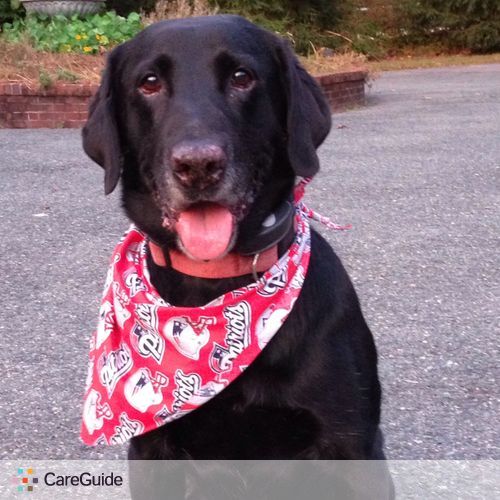 Pet Care Provider Aoife Quinn's Profile Picture