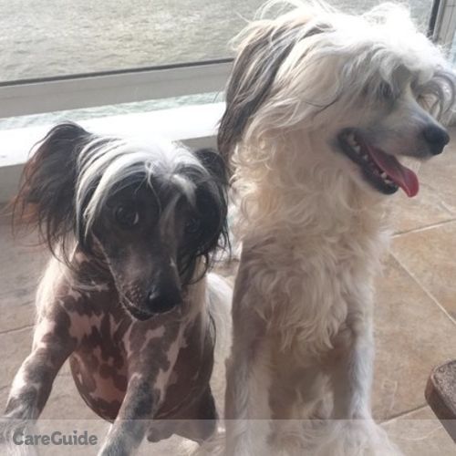 Pet Care Job Kristina Peeva's Profile Picture