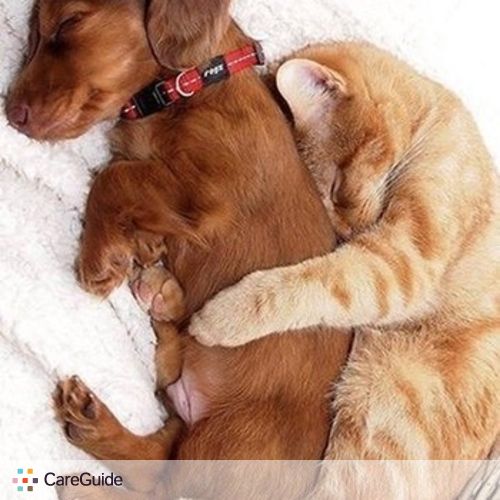 Pet Care Provider Romai Taylor's Profile Picture