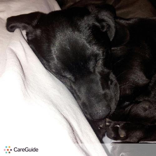 Pet Care Provider Samantha Zonghetti's Profile Picture