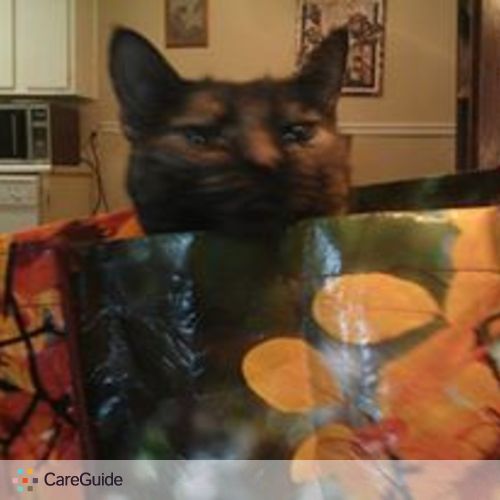 Pet Care Provider Kitiara Green's Profile Picture