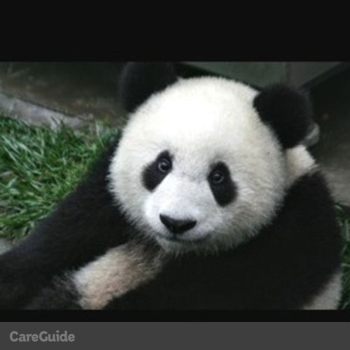 Pet Care Provider Spencer McKeen's Profile Picture
