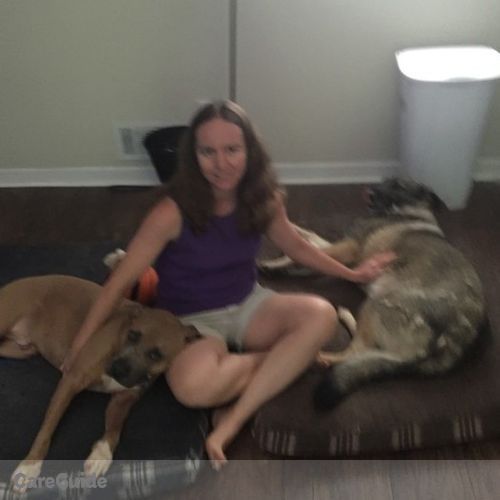 Pet Care Provider Amanda Brown's Profile Picture