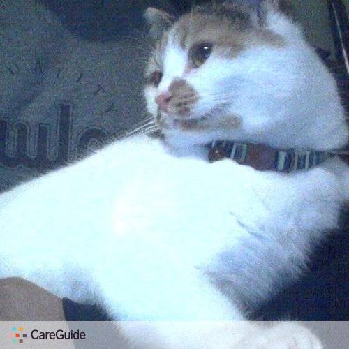 Pet Care Job Aydrea Hall's Profile Picture