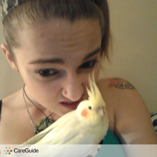 Pet Care Provider Kara Stowe's Profile Picture