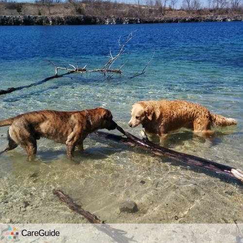Pet Care Provider Jamie-Lynn Bartlett's Profile Picture