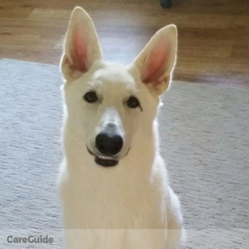 Pet Care Provider Maegan J's Profile Picture