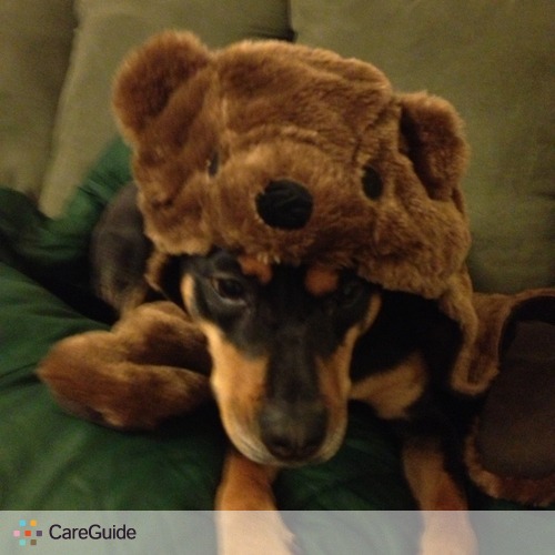 Pet Care Provider Jennifer Schutz's Profile Picture