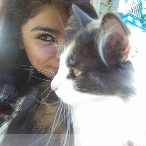 Pet Care Provider Jessica Valdez's Profile Picture