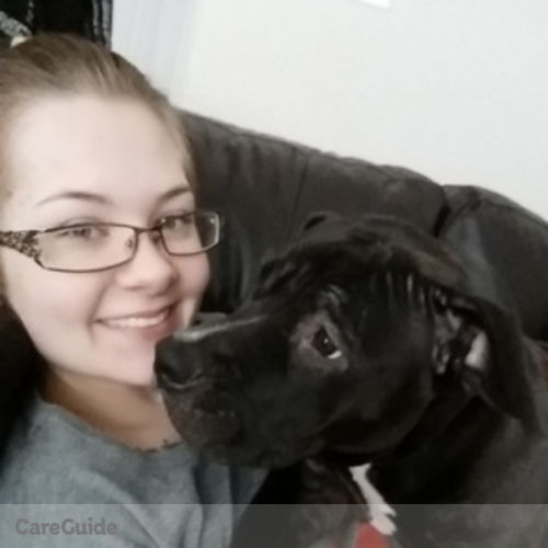 Pet Care Provider Meagan Manzevich's Profile Picture