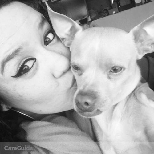 Pet Care Provider Angel Langston's Profile Picture