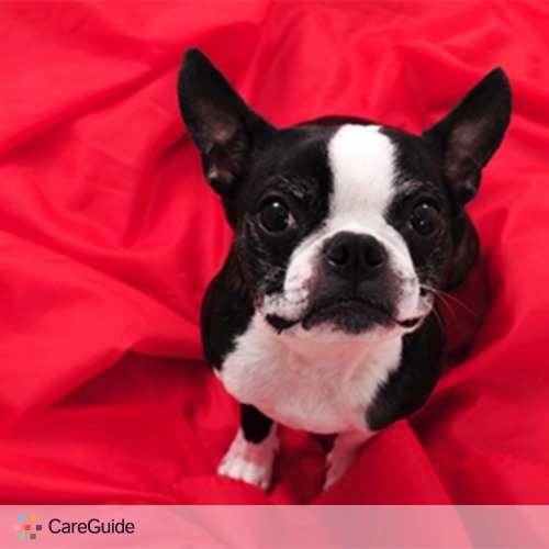 Pet Care Provider Cara Jones's Profile Picture