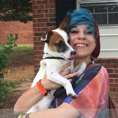 Pet Care Provider Kandi Westgate's Profile Picture