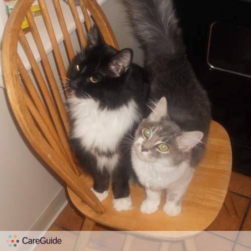 Pet Care Provider Rhonda Pollini's Profile Picture