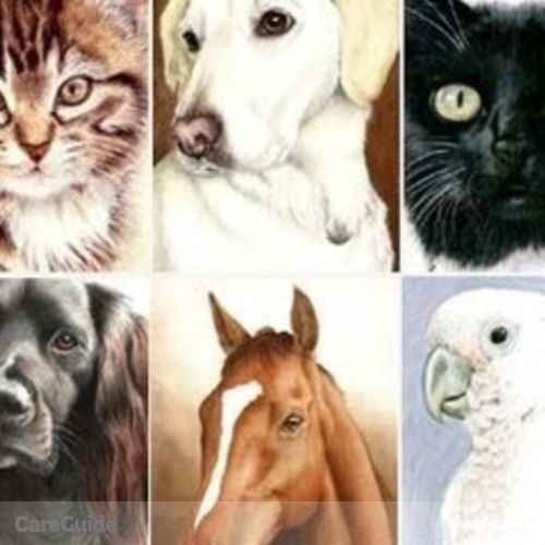 Pet Care Provider Pet Sitter Pet Nanny Pet Care's Profile Picture