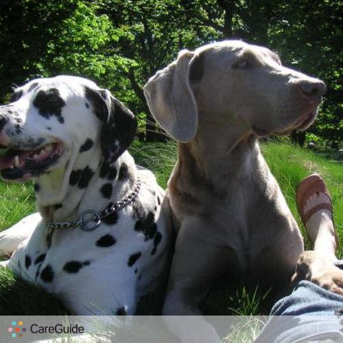 Pet Care Provider Maya Dog on Holidays's Profile Picture