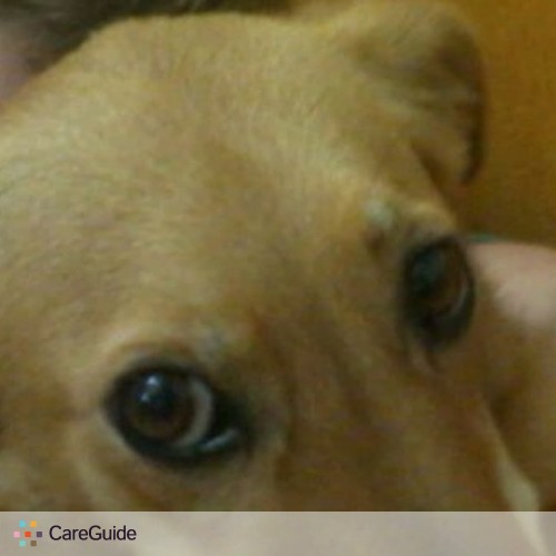 Pet Care Provider Jana Reis's Profile Picture