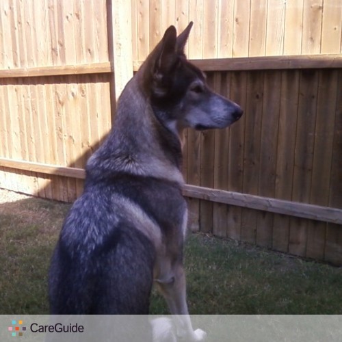 Pet Care Provider Dani Lowery's Profile Picture