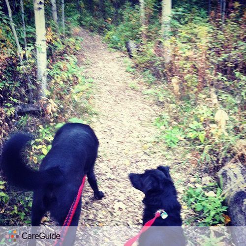 Pet Care Provider Andrea Zemrau's Profile Picture