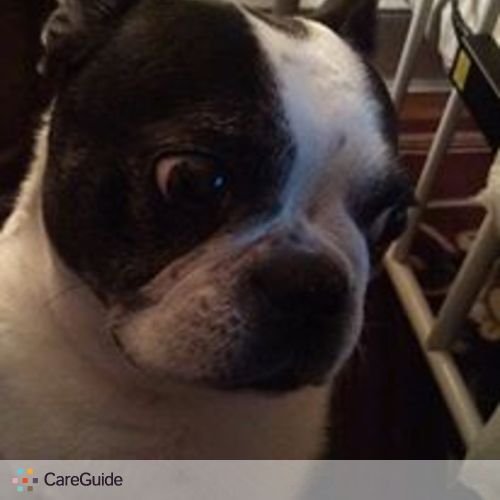 Pet Care Provider Merri Medley's Profile Picture