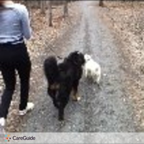 Pet Care Provider France Nantel's Profile Picture