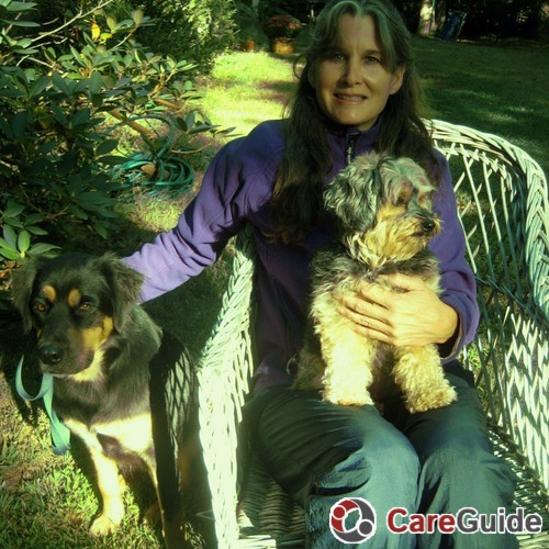 Pet Care Provider Carla Walsh's Profile Picture