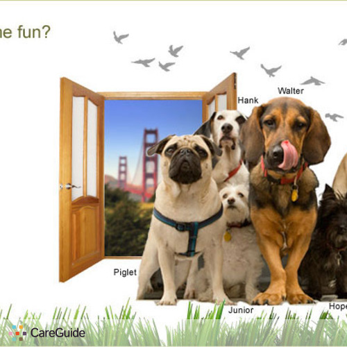 Pet Care Provider Kani Coleman's Profile Picture