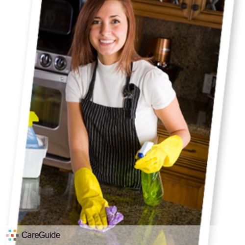 Domestic Cleaning Services Buyers Guide A Straightforward Guide To