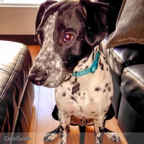 Pet Care Job Lauren E's Profile Picture
