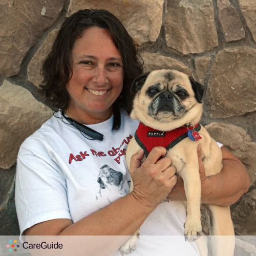 Pet Care Provider Renee Clarke's Profile Picture