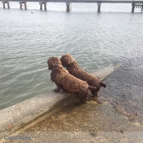 Pet Care Job Rachael Gowins's Profile Picture