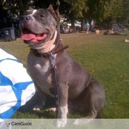 Pet Care Provider Jasmine Corbet's Profile Picture