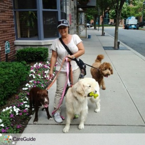 Pet Care Provider Terry Follaco's Profile Picture