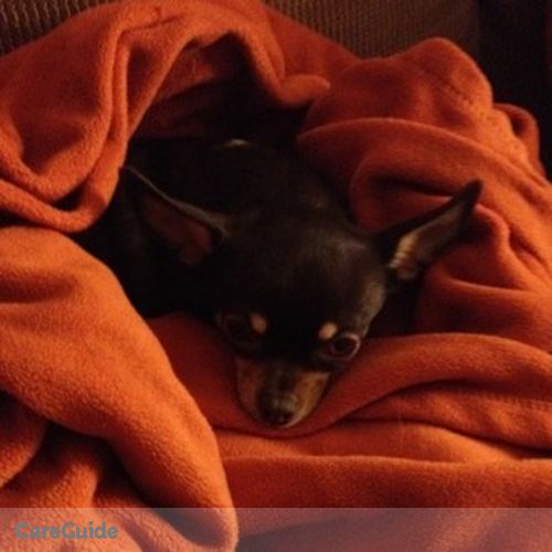 Pet Care Provider Dana Baker's Profile Picture