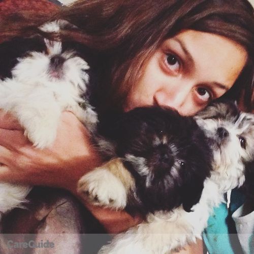 Pet Care Provider Mariel Rascon's Profile Picture