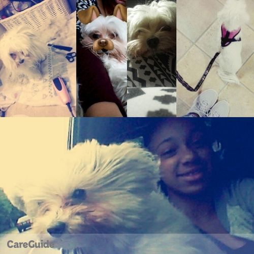 Pet Care Provider Laylah Morin's Profile Picture