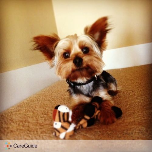Pet Care Provider Chelsie McCarthy's Profile Picture