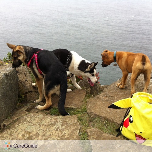 Pet Care Provider Marylyn Dang's Profile Picture