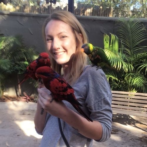 House Sitter Provider Addison Cook's Profile Picture