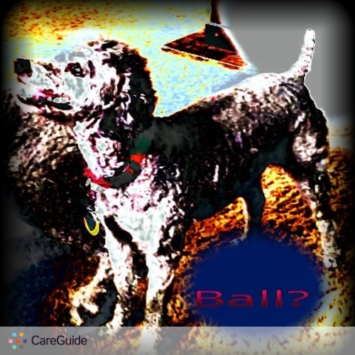 Pet Care Provider Contessa Crees's Profile Picture