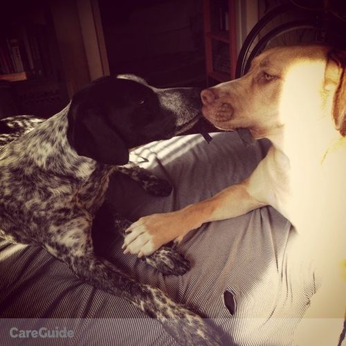 Pet Care Provider Alba A.'s Profile Picture