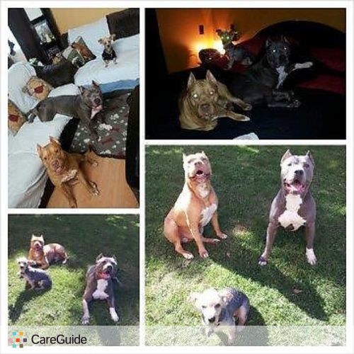 Pet Care Provider Seema Maharaj's Profile Picture